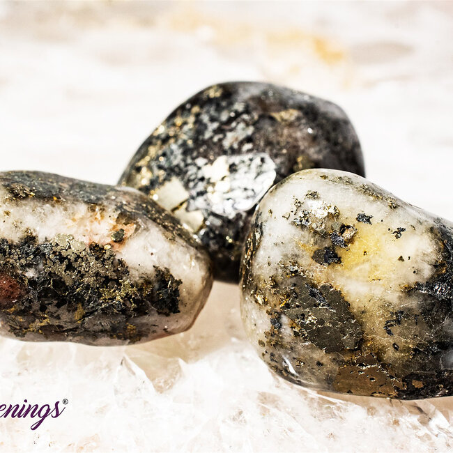 Triplite Wagnerite in Pyrite - Tumbled