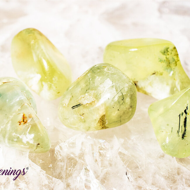 Green Prehnite - Tumbled
