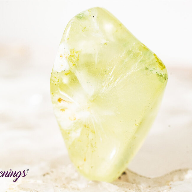 Green Prehnite - Tumbled