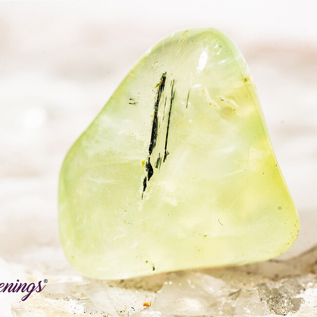 Green Prehnite - Tumbled