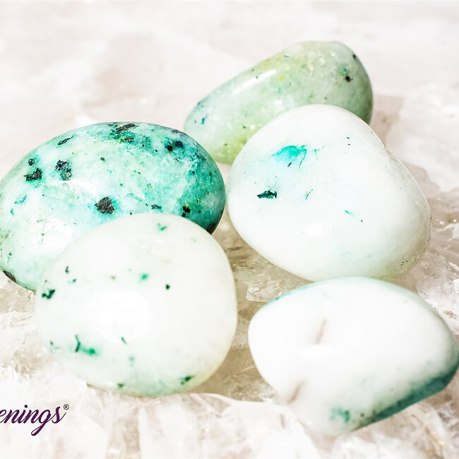 Phoenix Stone Pine (Fynechenite) - Tumbled