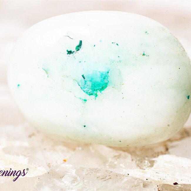 Phoenix Stone Pine (Fynechenite) - Tumbled