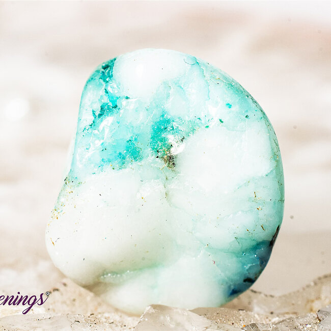 Phoenix Stone Pine (Fynechenite) - Tumbled