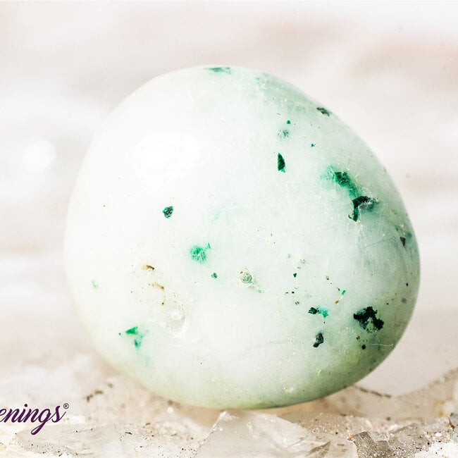 Phoenix Stone Pine (Fynechenite) - Tumbled