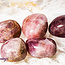 Pink Amethyst - Tumbled Large