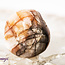 Pink Cobaltoan (Cobaltian Cobalto Salrose Cobaltocalcite) Calcite - Tumbled Aphrodite Stone