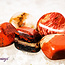 Red (Chestnut) Jasper - Tumbled Smooth