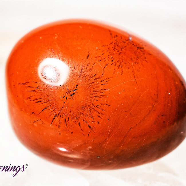 Red (Chestnut) Jasper - Large Tumbled Smooth