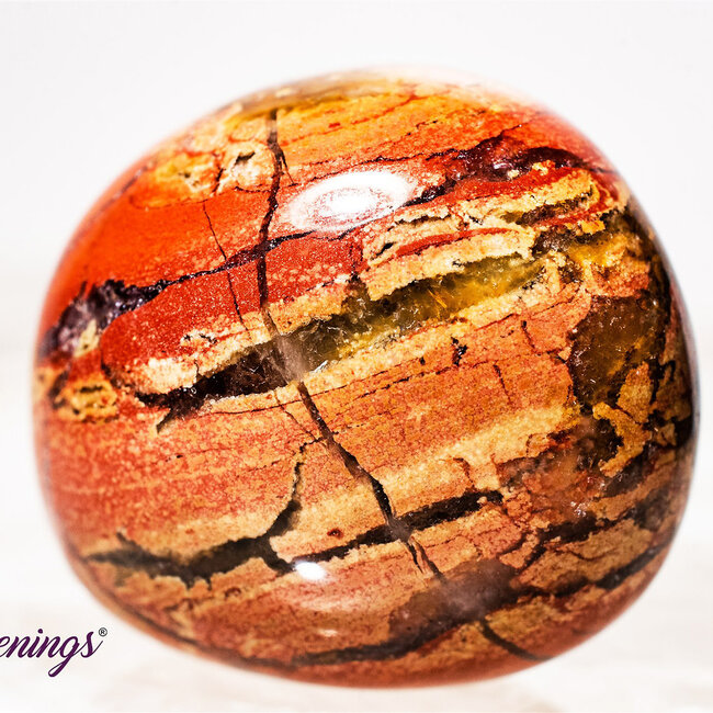 Red (Chestnut) Jasper - Large Tumbled Smooth