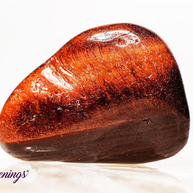 Red Tigers Eye - Tumbled