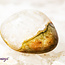 Rhyolite - Tumbled