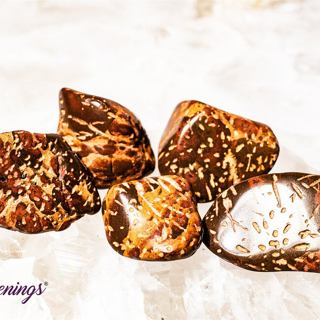 Star Jasper - Tumbled