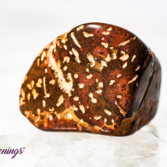 Star (Starburst Spider) Jasper Rhyolite - Tumbled