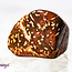 Star (Starburst Spider) Jasper Rhyolite - Tumbled