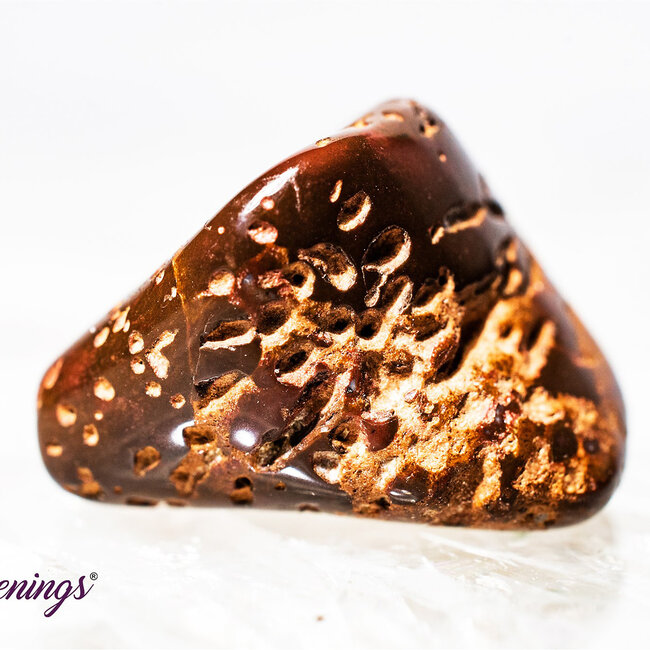 Star (Starburst Spider) Jasper Rhyolite - Tumbled