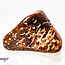Star (Starburst Spider) Jasper Rhyolite - Tumbled