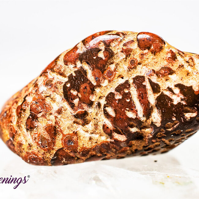 Star Jasper - Tumbled