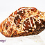 Star (Starburst Spider) Jasper Rhyolite - Tumbled