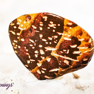 Star (Starburst Spider) Jasper Rhyolite - Tumbled