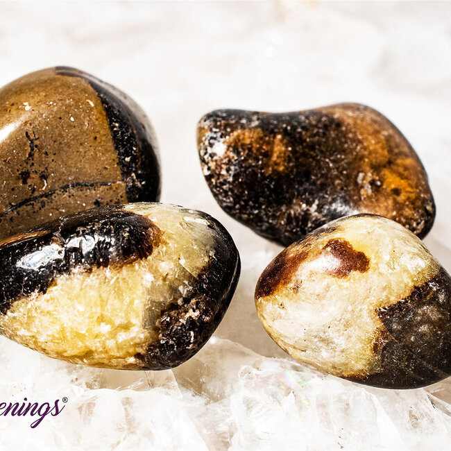 Septarian Jasper (Dragon Stone) - Tumbled Smooth