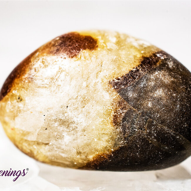 Septarian Jasper (Dragon Stone) - Tumbled Smooth