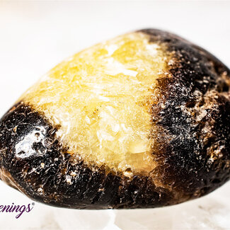 Septarian Jasper (Dragon Stone) - Tumbled Smooth