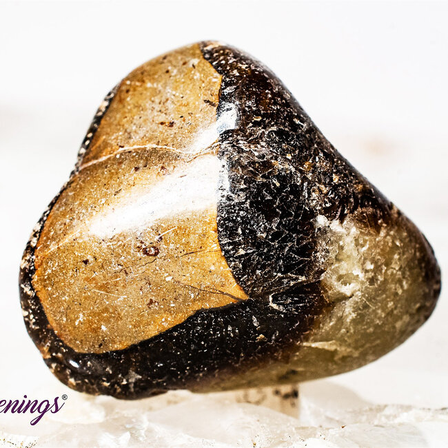 Septarian Jasper (Dragon Stone) - Tumbled Smooth