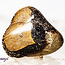 Septarian Jasper (Dragon Stone) - Tumbled Smooth