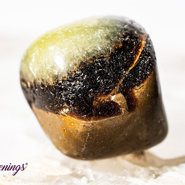 Septarian Jasper (Dragon Stone) - Tumbled Smooth