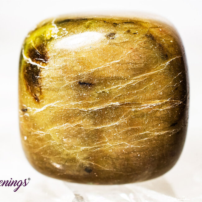 Green Serpentine - Tumbled