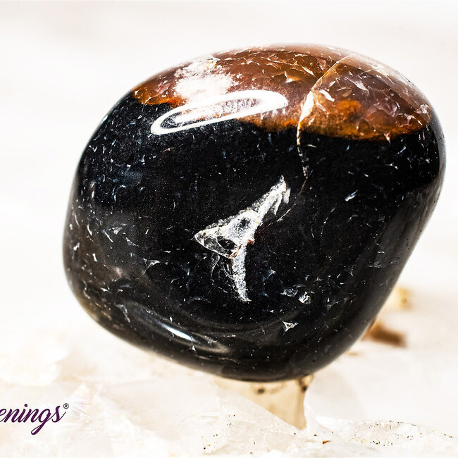 Black Sardonyx - Tumbled