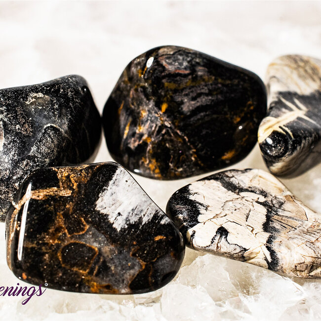 Silver Leaf Jasper - Tumbled