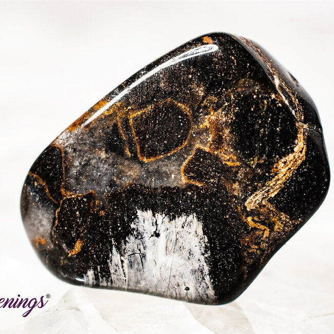 Silver Leaf Jasper - Tumbled