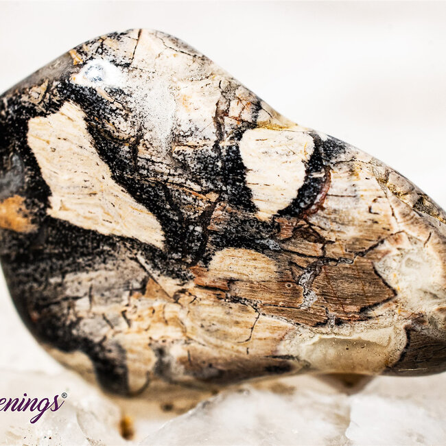 Silver Leaf Jasper - Tumbled