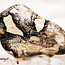 Silver Leaf Jasper - Tumbled
