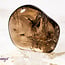 Smoky (Smokey) Quartz (AAA Grade) - Tumbled Smooth