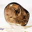 Smoky (Smokey) Quartz (AAA Grade) - Tumbled Smooth