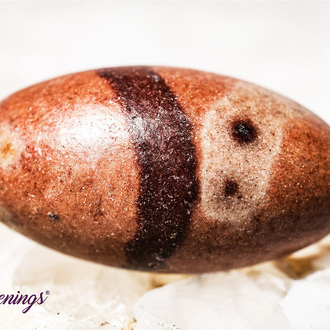 Shiva Lingam Narmada Sacred - Tumbled