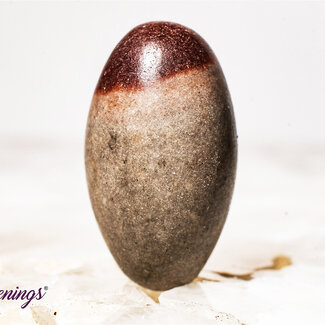 Shiva Lingam Narmada Sacred - Tumbled