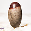 Shiva Lingam Narmada Sacred - Tumbled