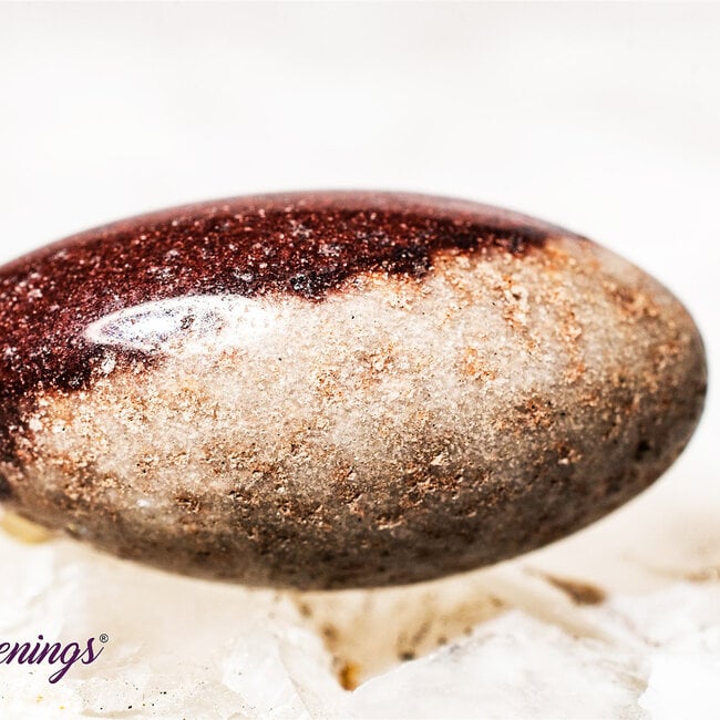 Shiva Lingam - Tumbled