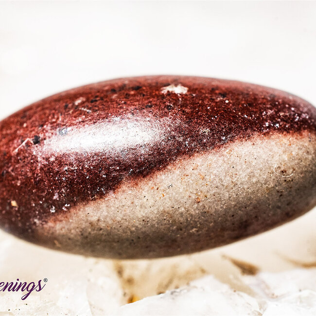 Shiva Lingam Narmada Sacred - Tumbled
