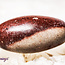 Shiva Lingam Narmada Sacred - Tumbled