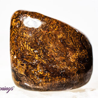 Stromatolite (Dark) Plum Jasper - Tumbled