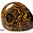 Stromatolite (Dark) Plum Jasper - Tumbled