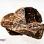 Staurolite (Fairy Cross Stone) - Rough Raw Natural