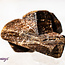 Staurolite (Fairy Cross Stone) - Rough Raw Natural