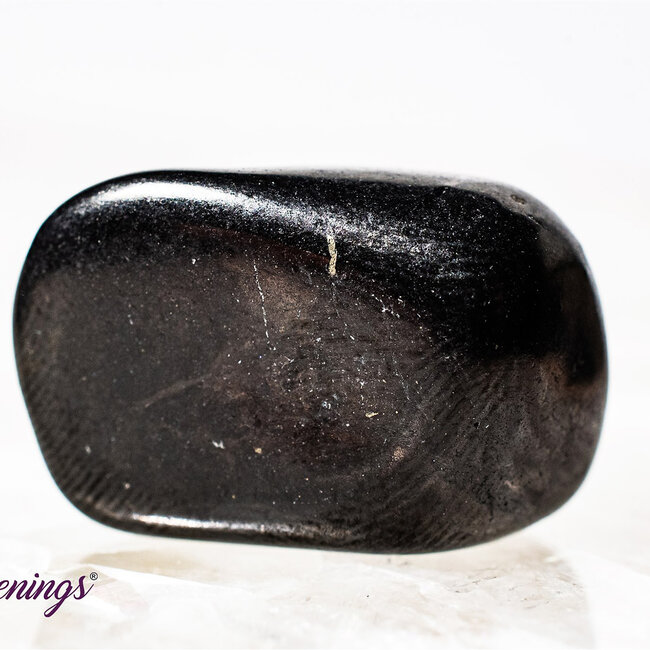 Shungite - Tumbled