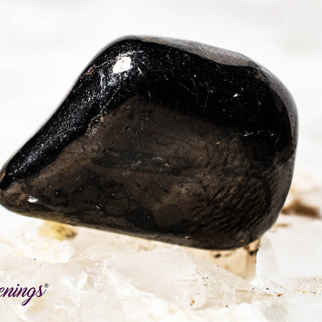 Shungite - Tumbled