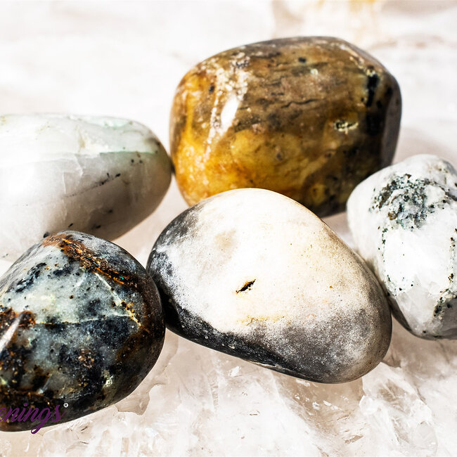 Tibetan Black Quartz - Tumbled